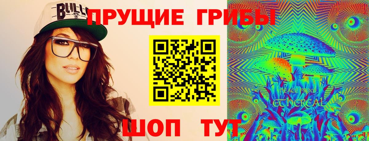 Псилоцибиновые грибы Psilocybe Владикавказ