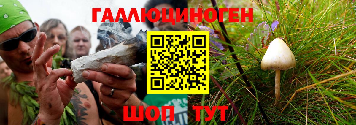 Владикавказ  даркнет сайт  Вход с VPN  Псилоцибиновые грибы мухоморы  Галлюциногенные грибы Psilocybe 