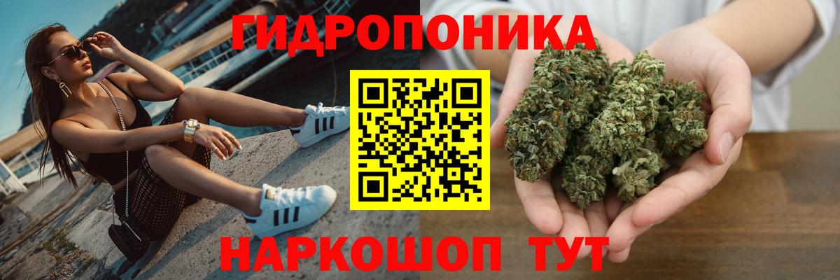 Канабис конопля Владикавказ